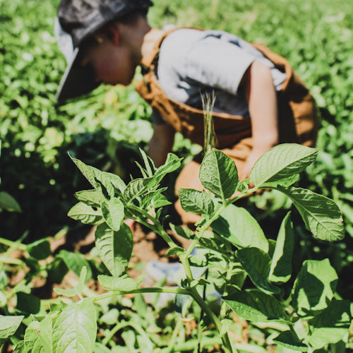 Why We Love Raising Our Kids on the Farm