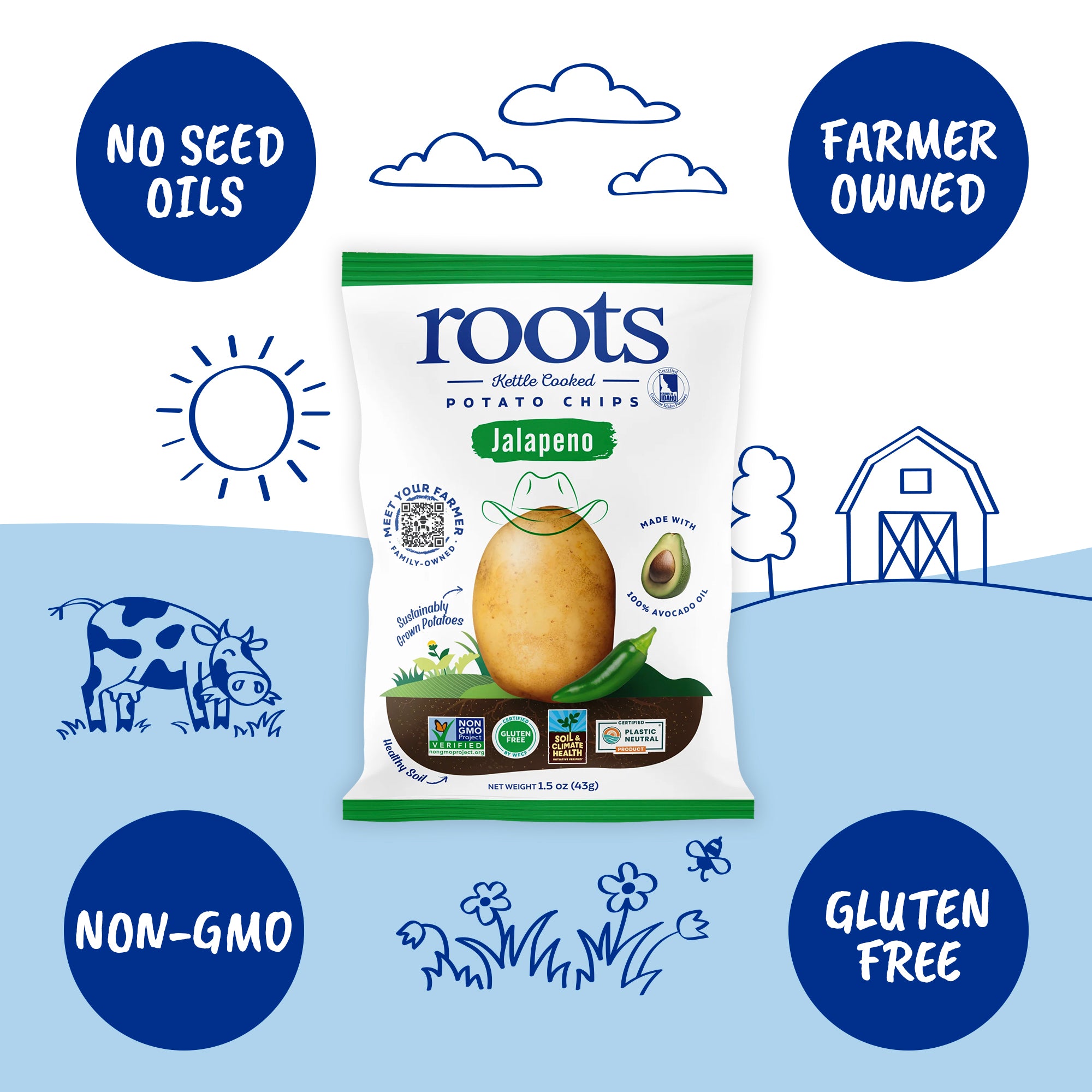 Jalapeño Kettle Cooked Potato Chips – Spicy, Zesty Flavor – Idaho Pota