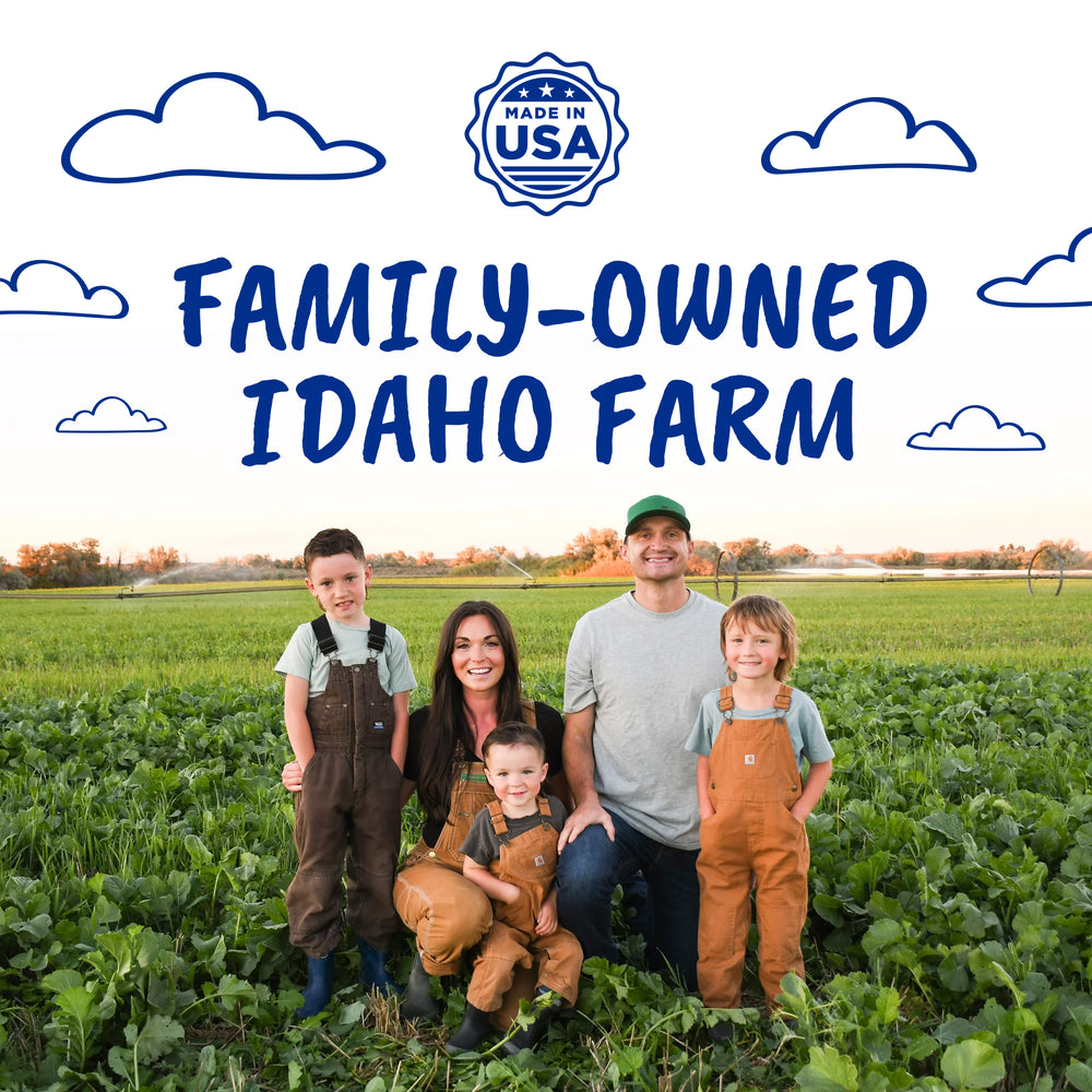 Tallow Purple Sea Salt Kettle Cooked Potato Chips – Naturally Vibrant Flavor – Regenerative Idaho Purple Potatoes Cooked in 100% Tallow – (12 x 5 oz Bags)